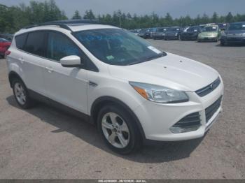  Salvage Ford Escape