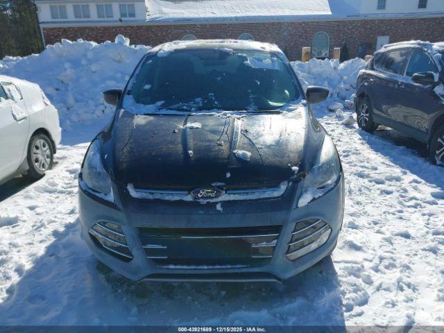 Ford Escape Se Image 6