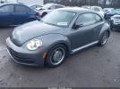 Volkswagen Beetle 2.5l Image 2