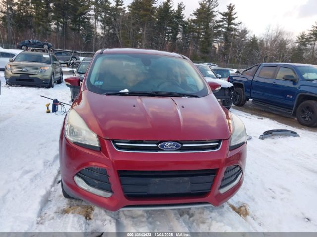 Ford Escape Sel Image 11