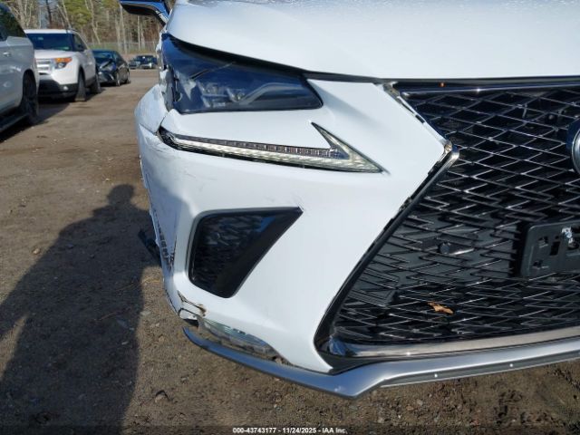 Lexus NX F Sport Image 6